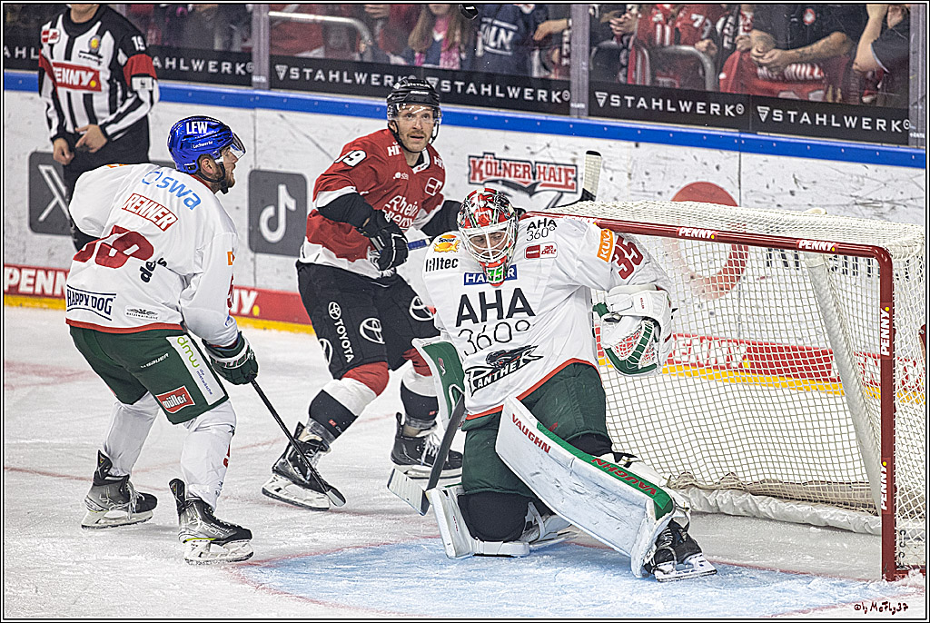 PENNY DEL 1. Koelner Haie - Augsburger Panther; Koeln, 03.10.2023