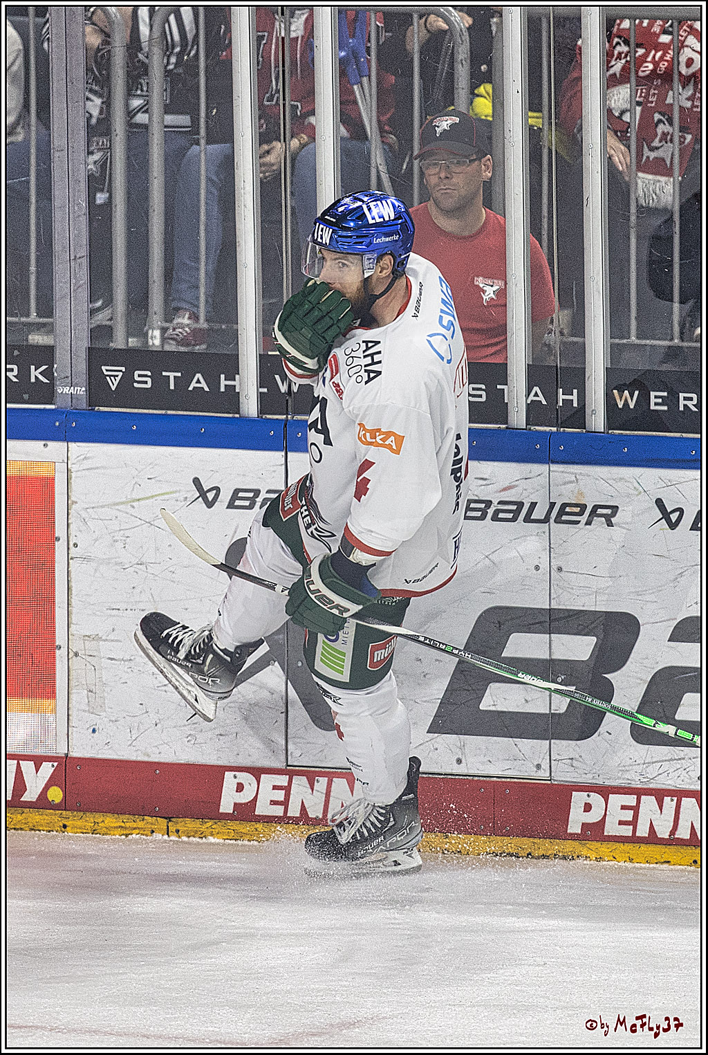 PENNY DEL 1. Koelner Haie - Augsburger Panther; Koeln, 03.10.2023