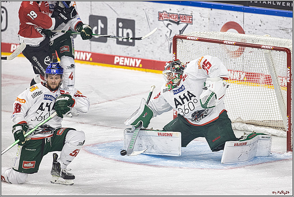 PENNY DEL 1. Koelner Haie - Augsburger Panther; Koeln, 03.10.2023