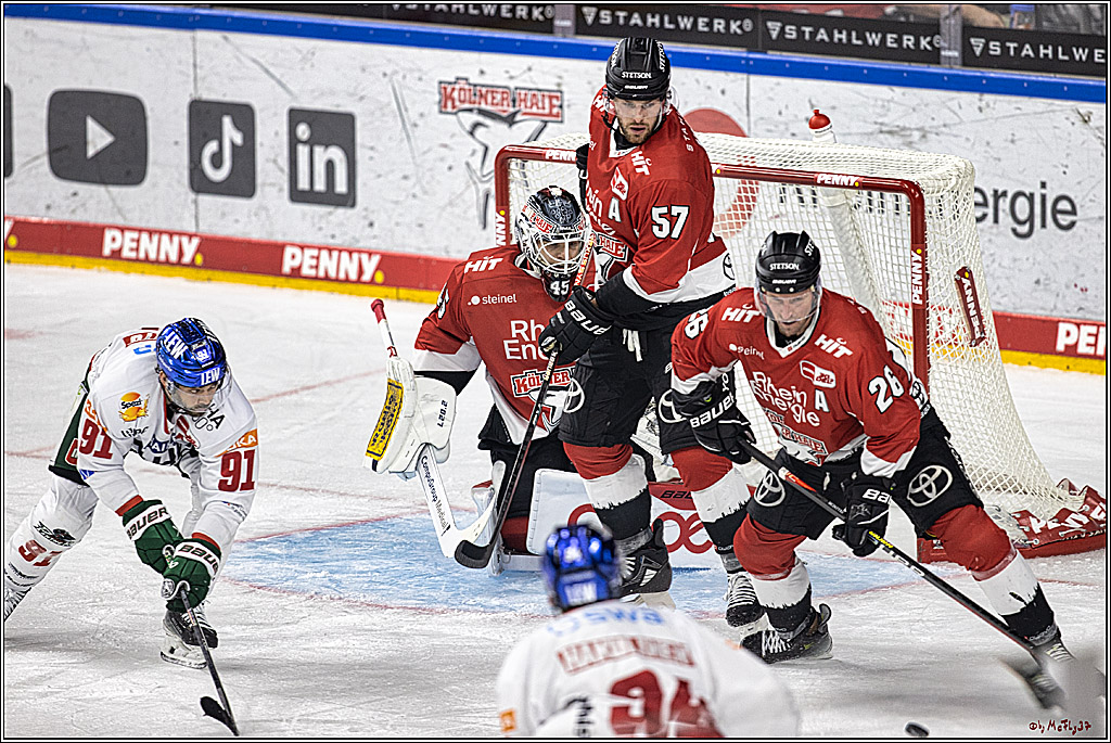 PENNY DEL 1. Koelner Haie - Augsburger Panther; Koeln, 03.10.2023