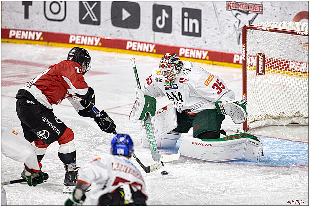 PENNY DEL 1. Koelner Haie - Augsburger Panther; Koeln, 03.10.2023
