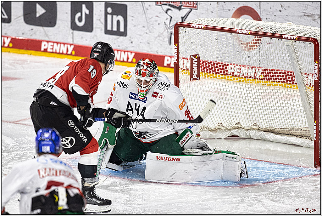 PENNY DEL 1. Koelner Haie - Augsburger Panther; Koeln, 03.10.2023