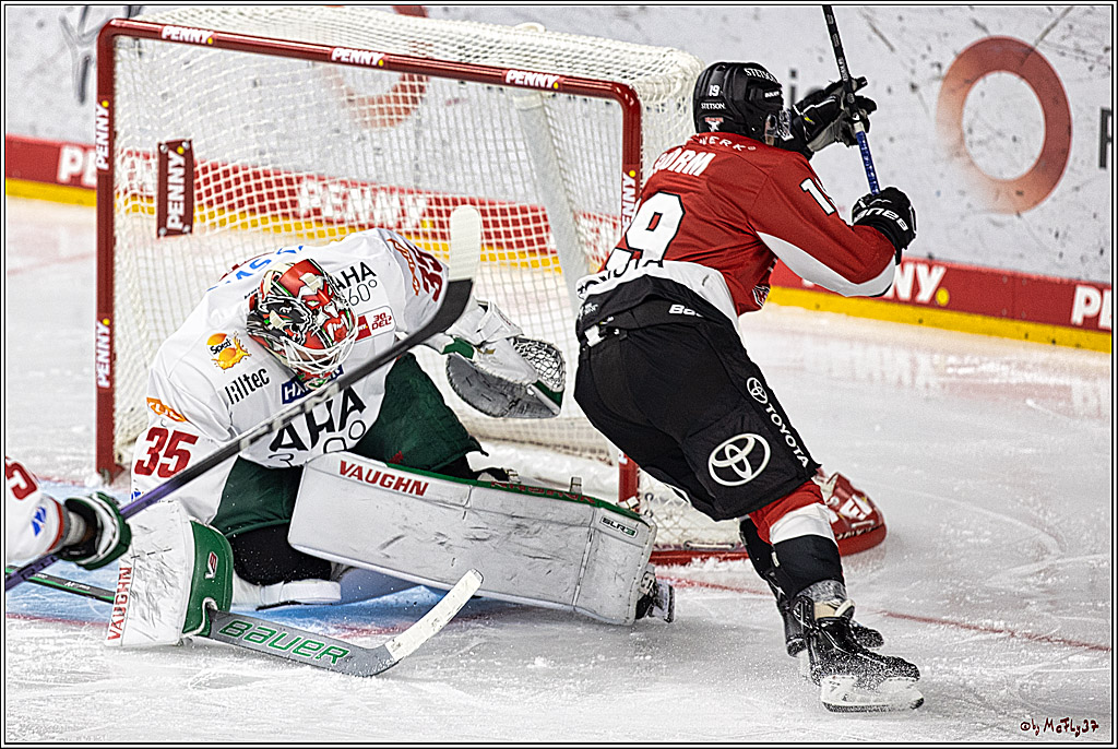 PENNY DEL 1. Koelner Haie - Augsburger Panther; Koeln, 03.10.2023