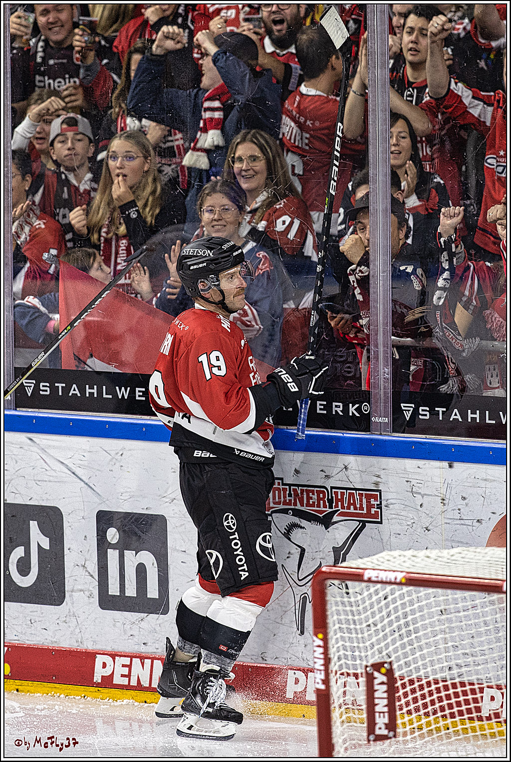 PENNY DEL 1. Koelner Haie - Augsburger Panther; Koeln, 03.10.2023
