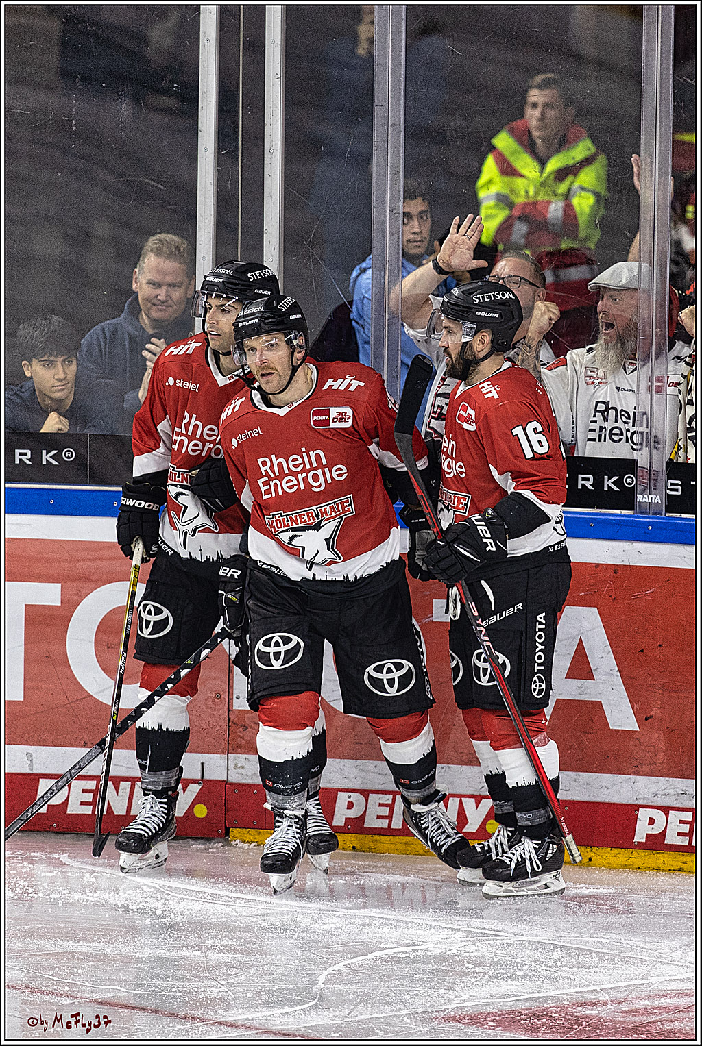 PENNY DEL 1. Koelner Haie - Augsburger Panther; Koeln, 03.10.2023
