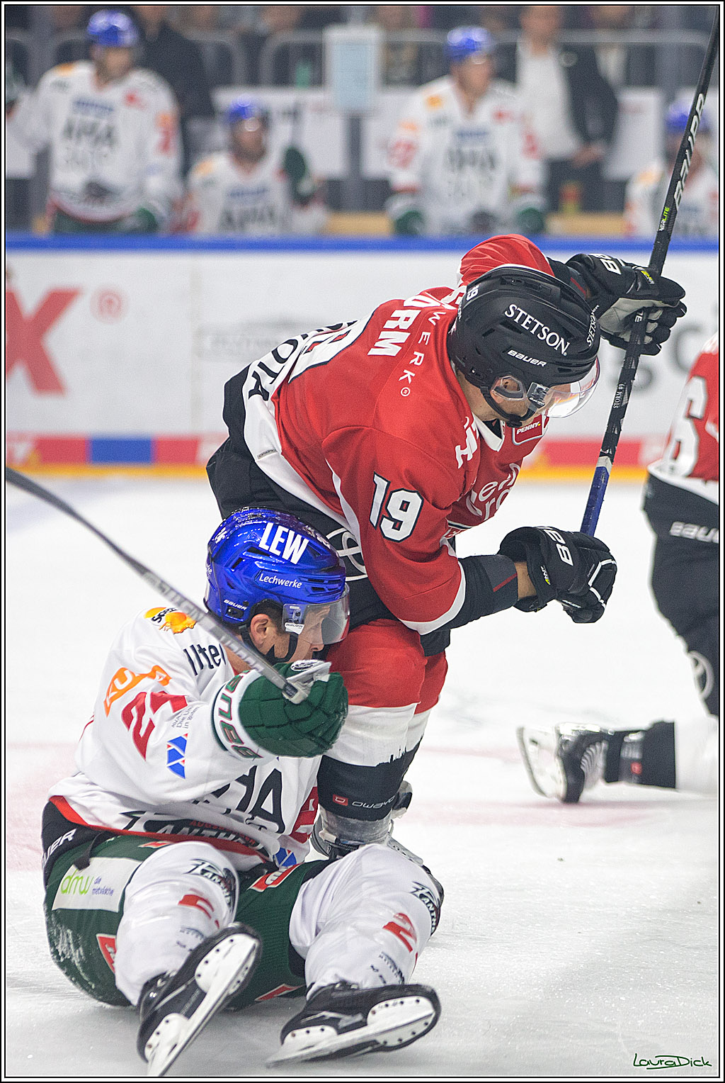 PENNY DEL; Koelner Haie- AEV Augsburg; Koeln, 03.10.2023