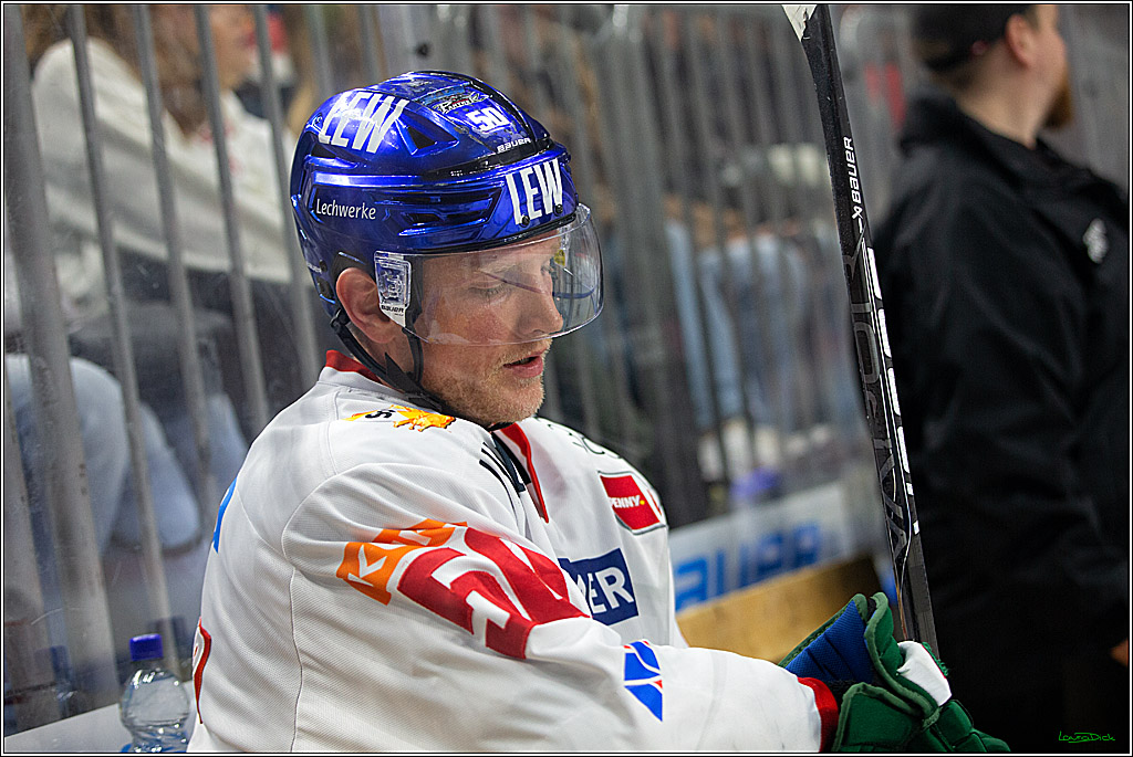 PENNY DEL; Koelner Haie- AEV Augsburg; Koeln, 03.10.2023