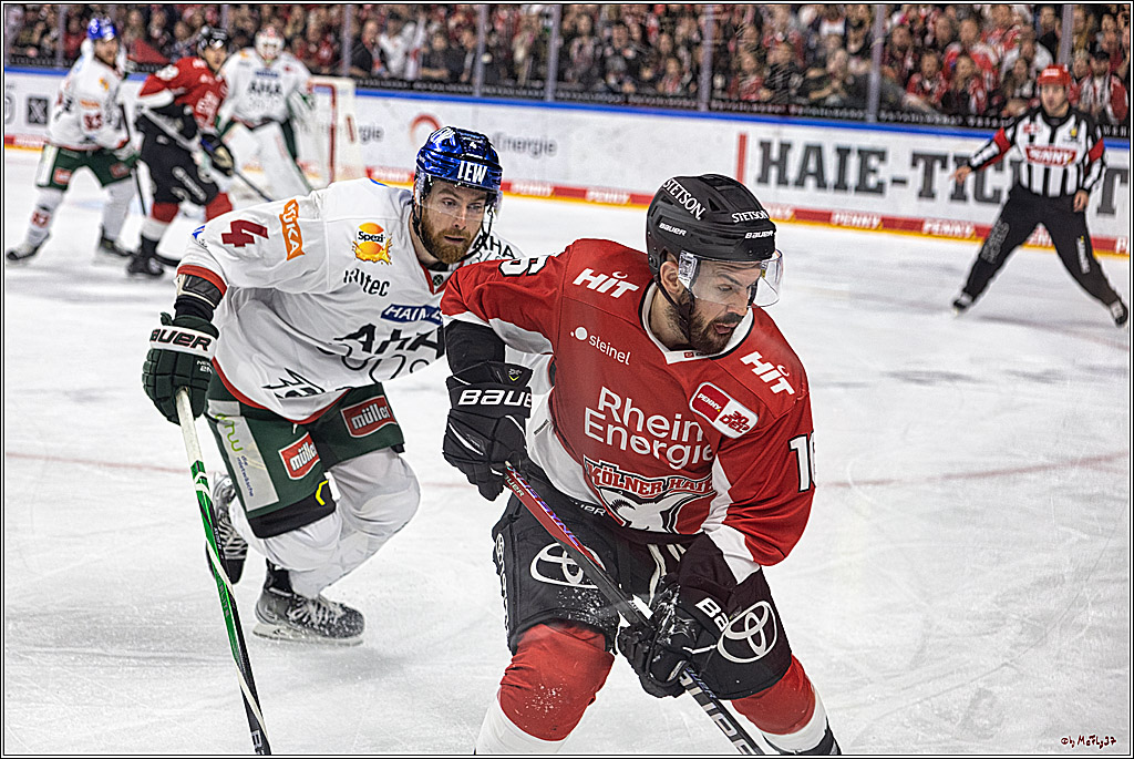 PENNY DEL 1. Koelner Haie - Augsburger Panther; Koeln, 03.10.2023