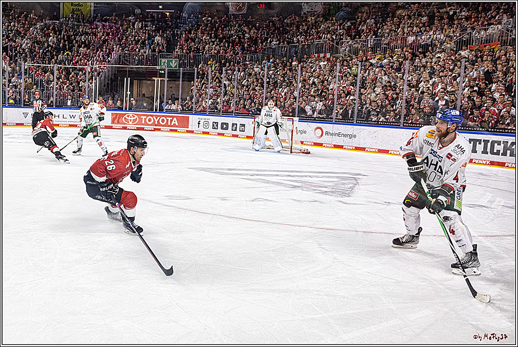 PENNY DEL 1. Koelner Haie - Augsburger Panther; Koeln, 03.10.2023