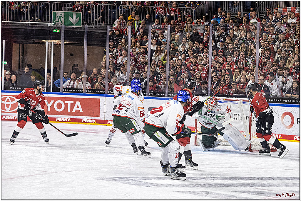 PENNY DEL 1. Koelner Haie - Augsburger Panther; Koeln, 03.10.2023