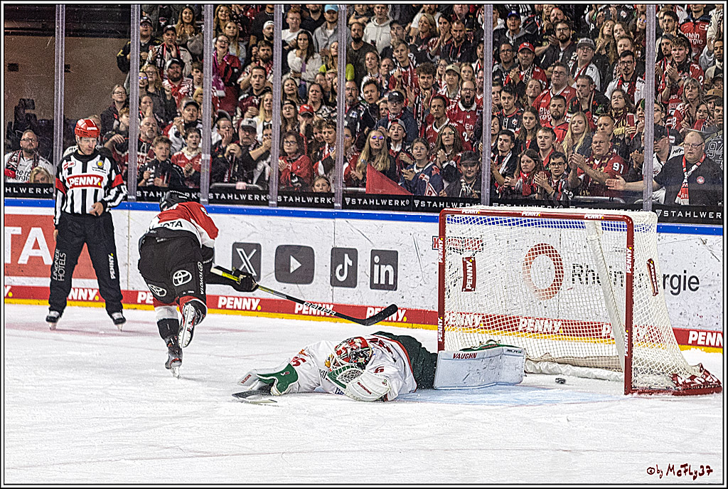 PENNY DEL 1. Koelner Haie - Augsburger Panther; Koeln, 03.10.2023
