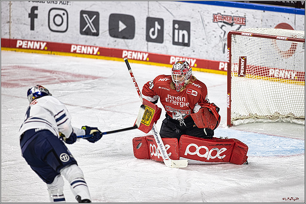 PENNY DEL 1. Koelner Haie - Red Bull Muenchen; Koeln, 27.10.2023