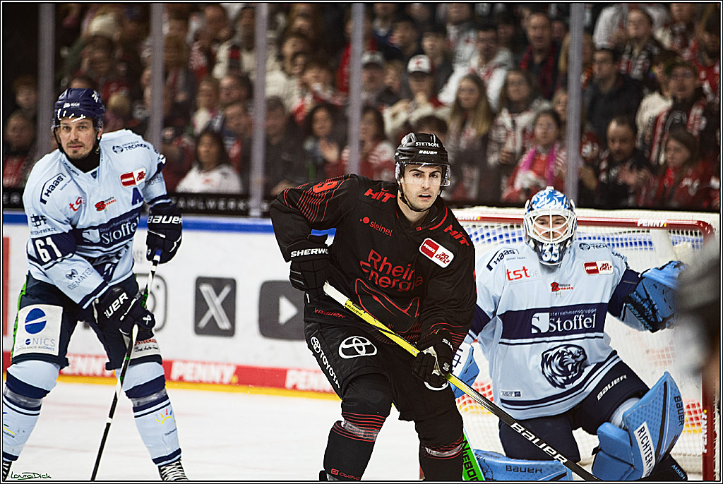 PENNY DEL; Koelner Haie-Straubing Tigers; Koeln, 24.11.2023