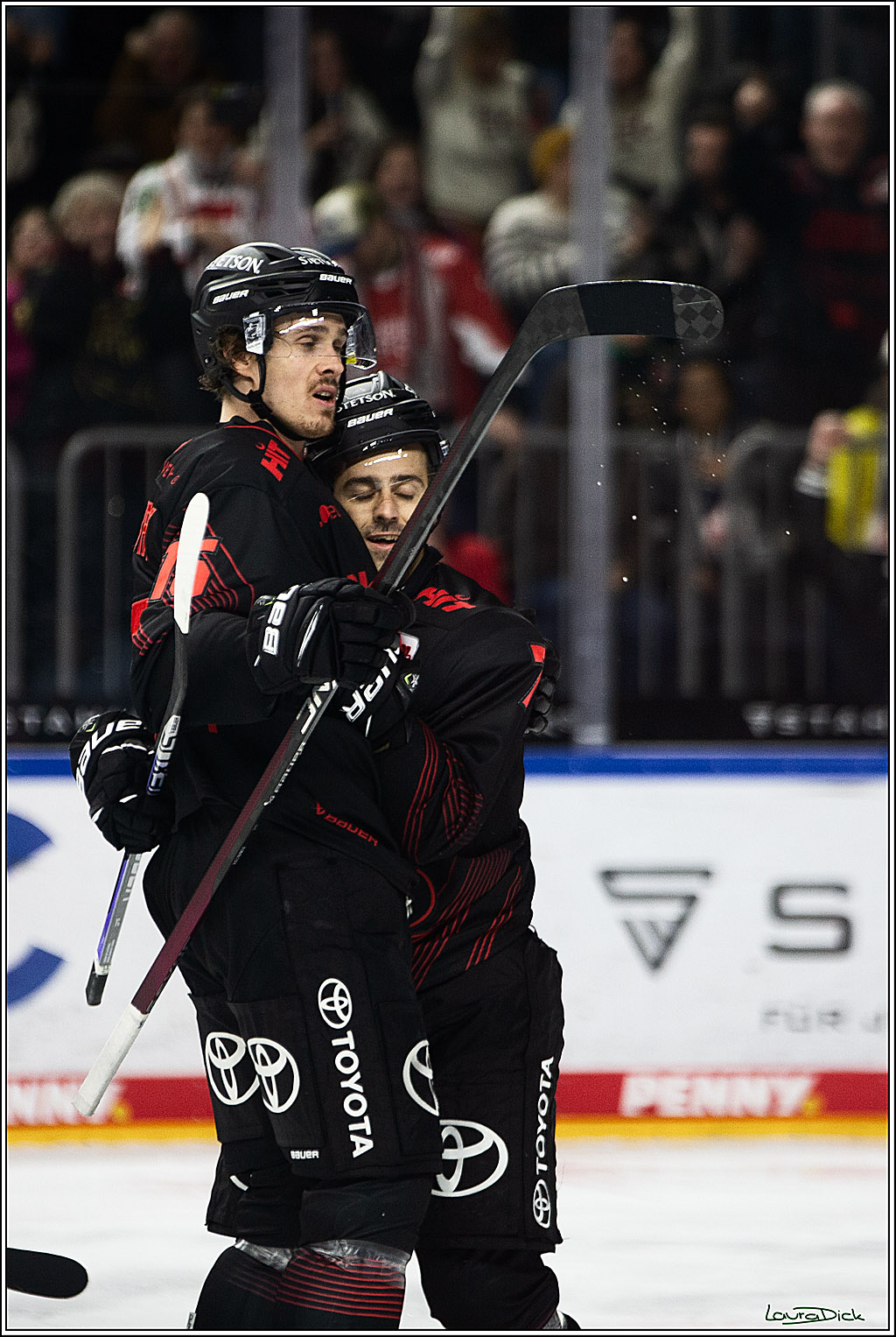 PENNY DEL; Koelner Haie-Straubing Tigers; Koeln, 24.11.2023