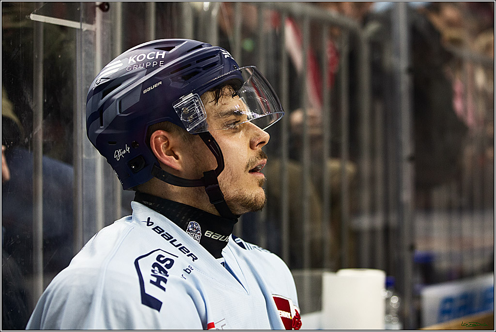 PENNY DEL; Koelner Haie-Straubing Tigers; Koeln, 24.11.2023