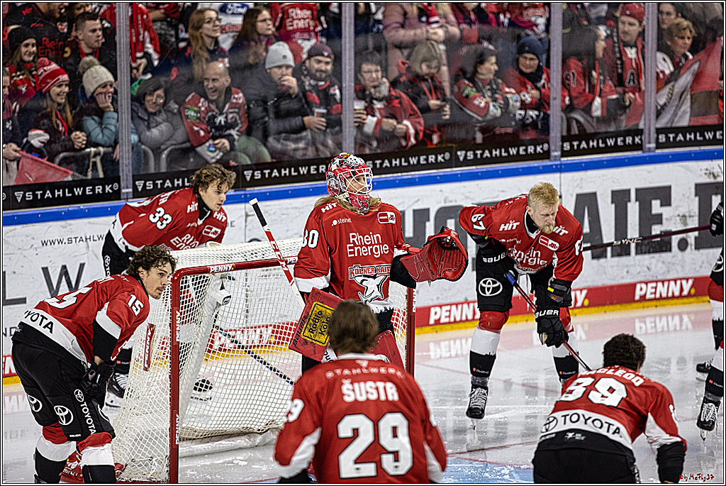 PENNY DEL 1. Koelner Haie - Grizzlys Wolfsburg; Koeln, 28.11.2023