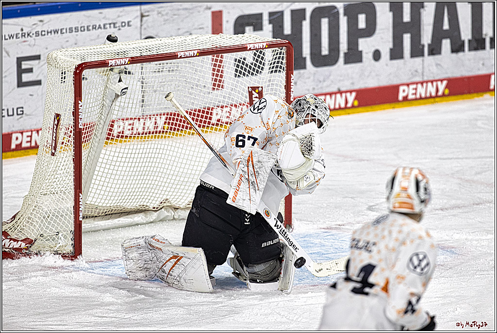 PENNY DEL 1. Koelner Haie - Grizzlys Wolfsburg; Koeln, 28.11.2023