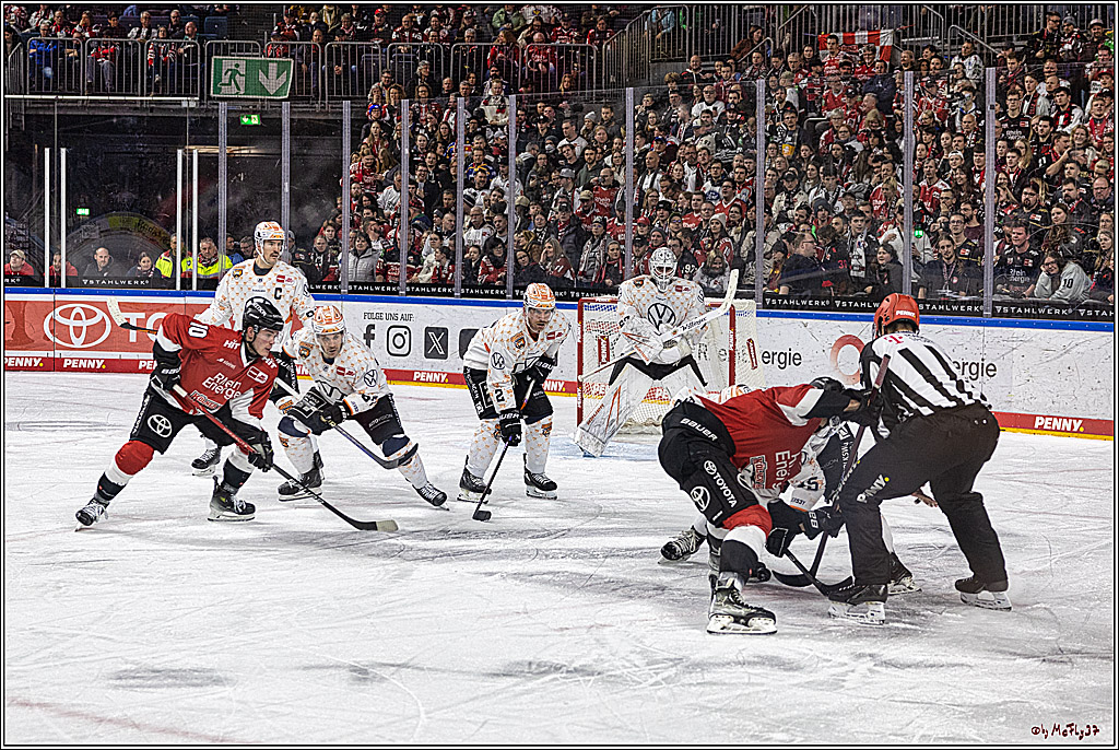 PENNY DEL 1. Koelner Haie - Grizzlys Wolfsburg; Koeln, 28.11.2023