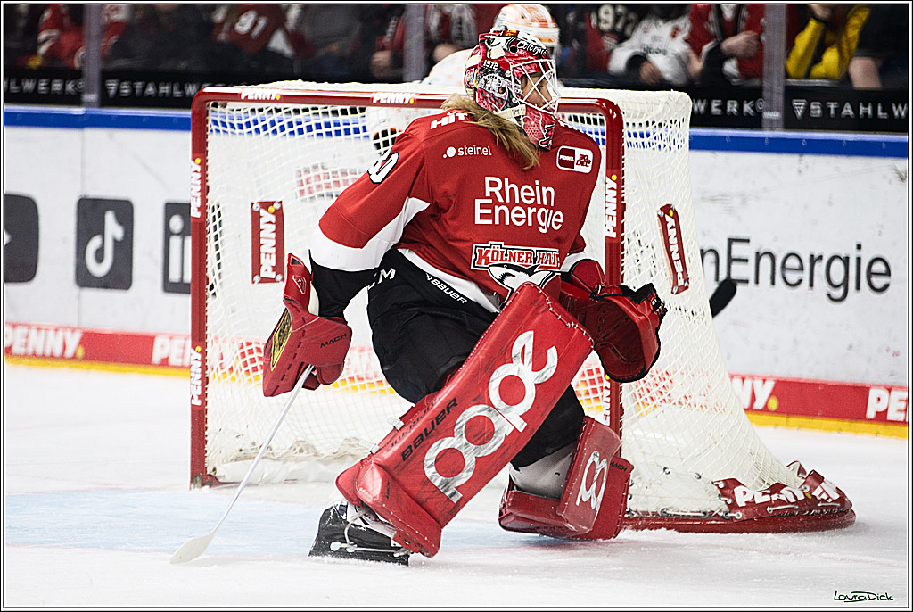 PENNY DEL; Koelner Haie- Grizzly Wolfsburg; Koeln, 28.11.2023