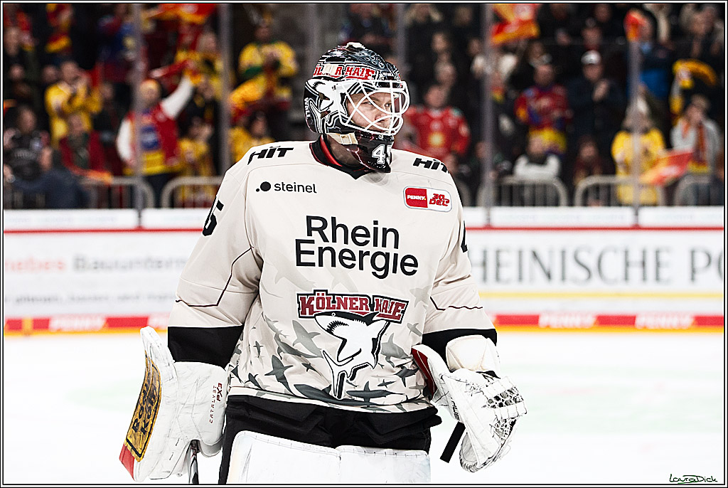 PENNY DEL; Duesseldorfer EG- Koelner Haie; Duesseldorf, 03.12.2023