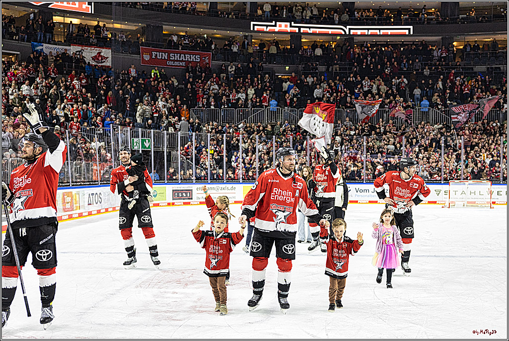PENNY DEL 1. Koelner Haie - Straubing Tigers; Koeln, 15.12.2023