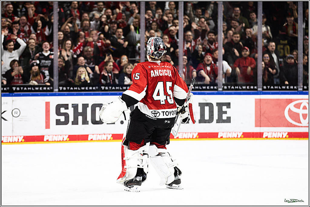 PENNY DEL; Koelner Haie- Straubing Tigers; Koeln, 15.12.2023