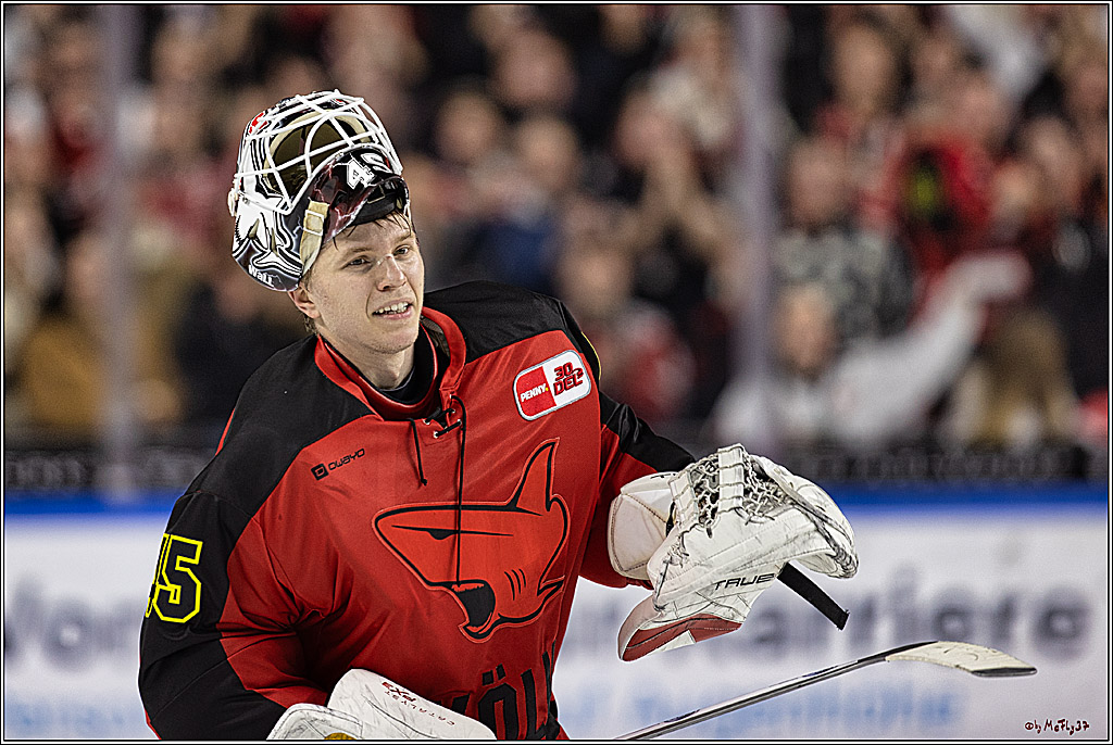 PENNY DEL 1. Koelner Haie - Nürnberg Ice Tigers; Koeln, 17.12.2023