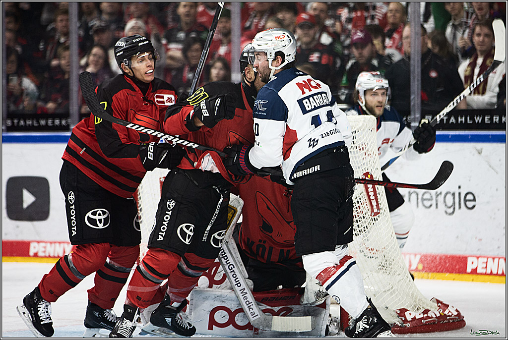 PENNY DEL; Koelner Haie- Nuernberger Ice Tigers; Koeln, 17.12.2023