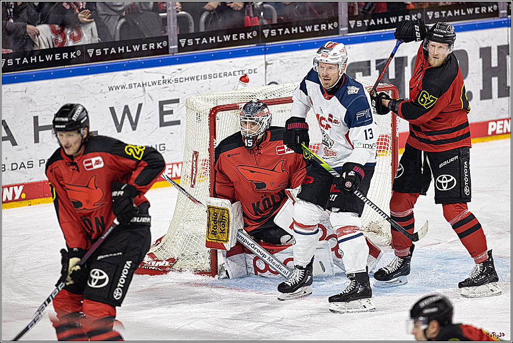 PENNY DEL 1. Koelner Haie - Nürnberg Ice Tigers; Koeln, 17.12.2023