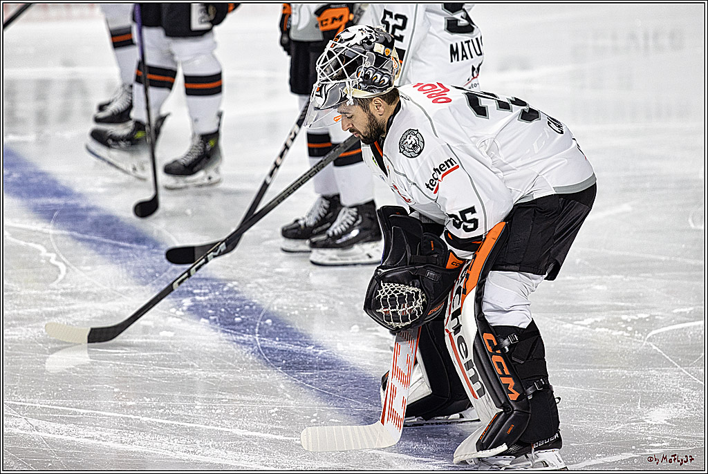 PENNY DEL 1. Kölner Haie - Löwen Frankfurt; Köln, 26.12.2023