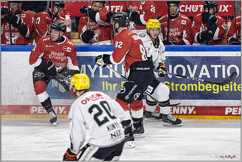 PENNY DEL 1. Kölner Haie - Löwen Frankfurt; Köln, 26.12.2023