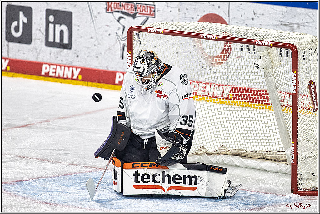 PENNY DEL 1. Kölner Haie - Löwen Frankfurt; Köln, 26.12.2023