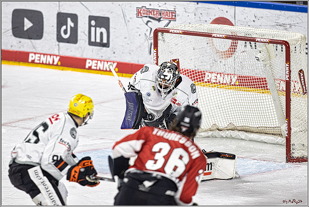 PENNY DEL 1. Kölner Haie - Löwen Frankfurt; Köln, 26.12.2023