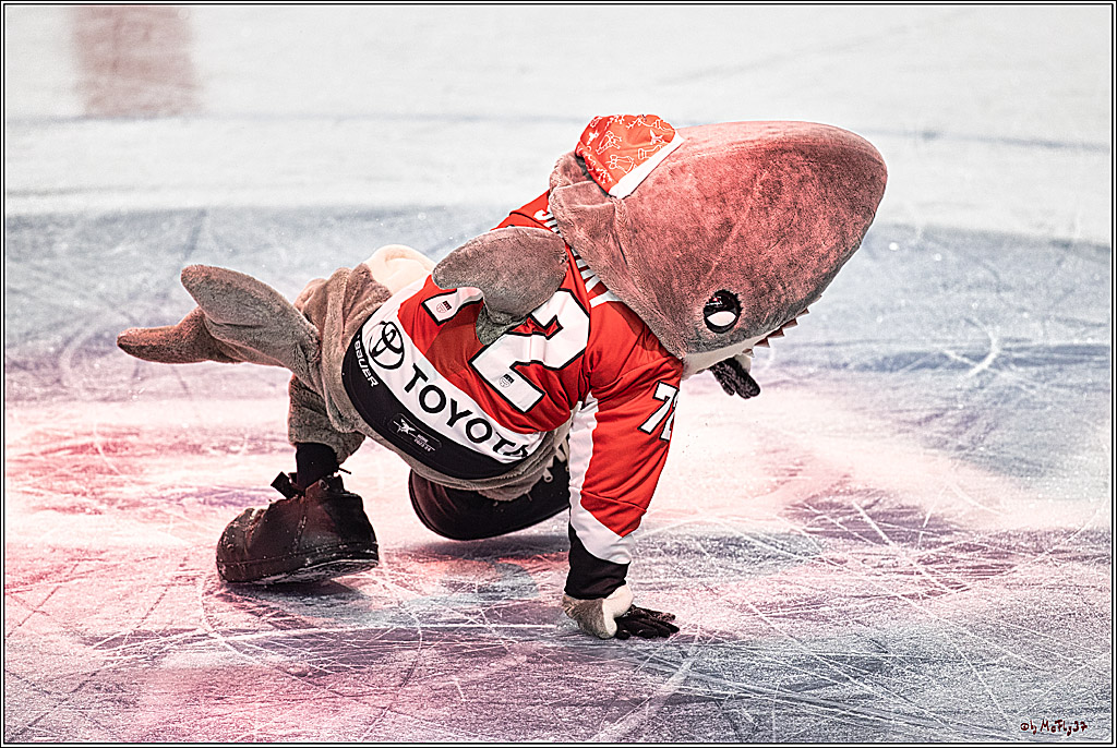 PENNY DEL 1. Kölner Haie - Löwen Frankfurt; Köln, 26.12.2023