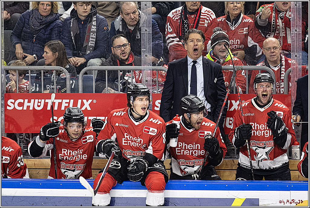 PENNY DEL 1. Kölner Haie - Löwen Frankfurt; Köln, 26.12.2023