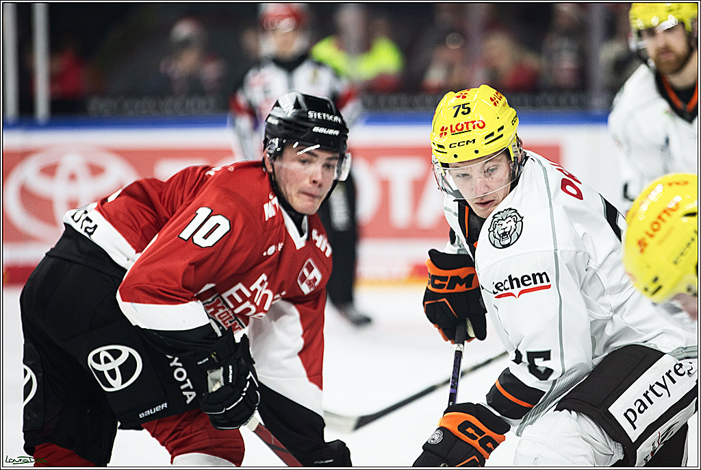 PENNY DEL; Koelner Haie- Loewen Frankfurt; Koeln, 26.12.2023