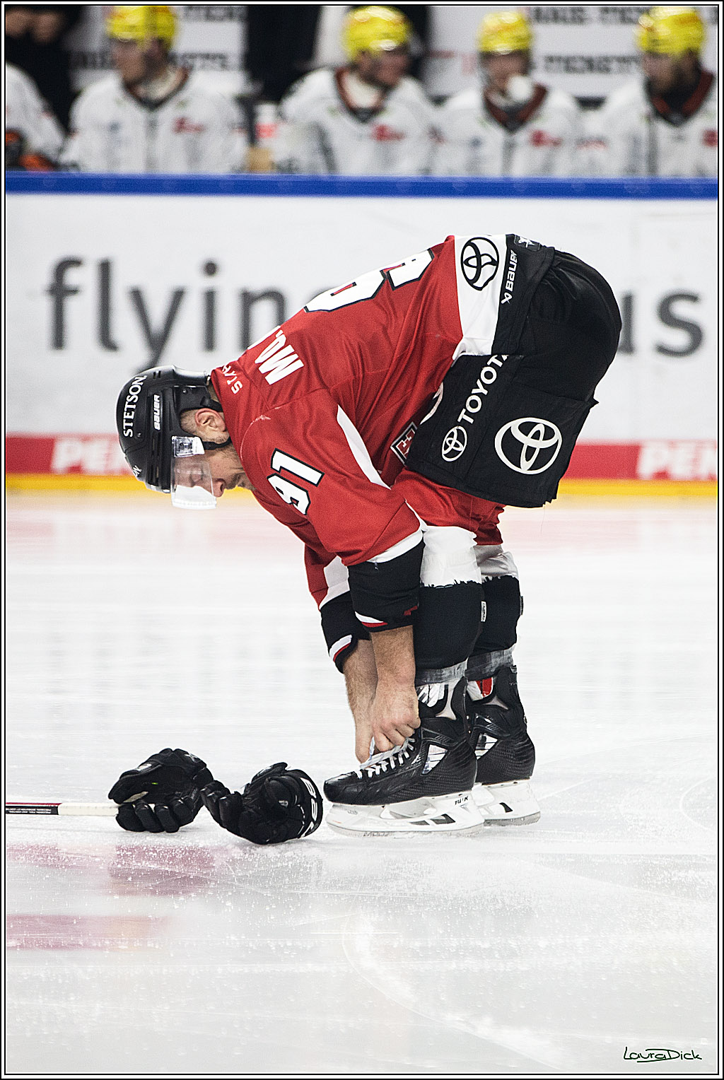 PENNY DEL; Koelner Haie- Loewen Frankfurt; Koeln, 26.12.2023