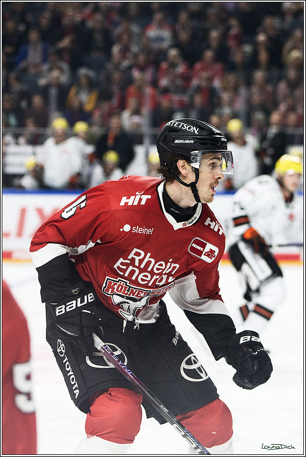 PENNY DEL; Koelner Haie- Loewen Frankfurt; Koeln, 26.12.2023