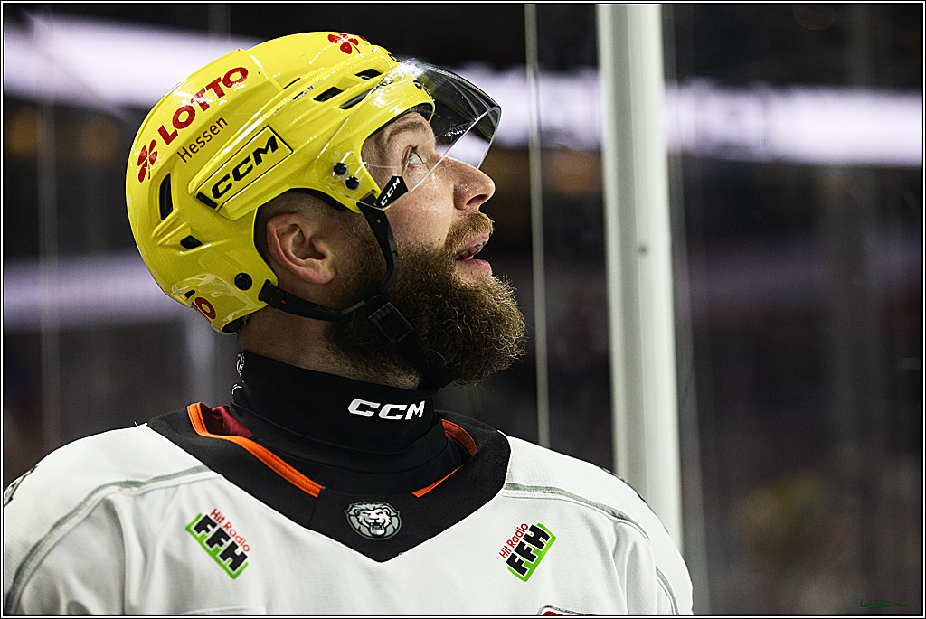 PENNY DEL; Koelner Haie- Loewen Frankfurt; Koeln, 26.12.2023