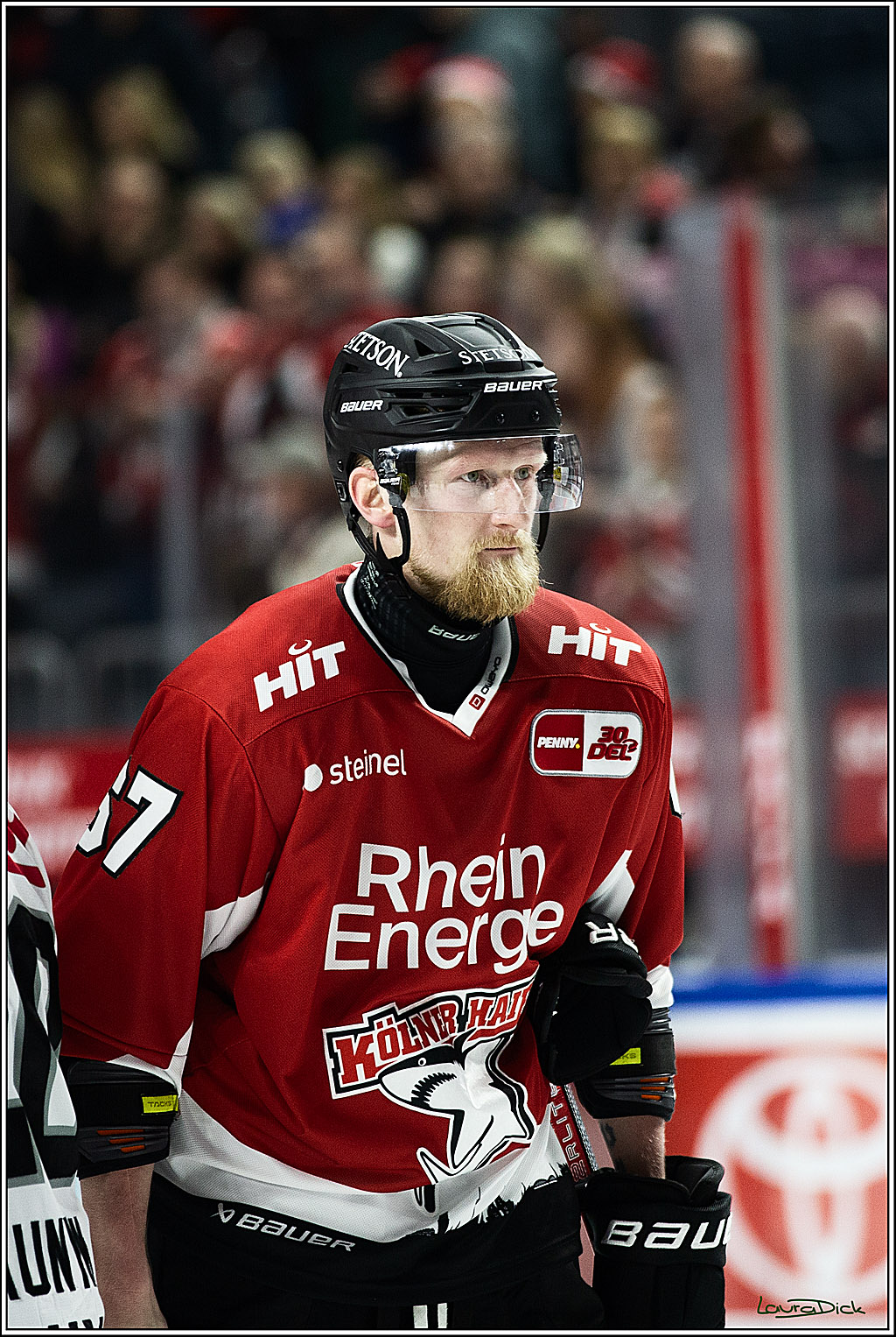 PENNY DEL; Koelner Haie- Loewen Frankfurt; Koeln, 26.12.2023