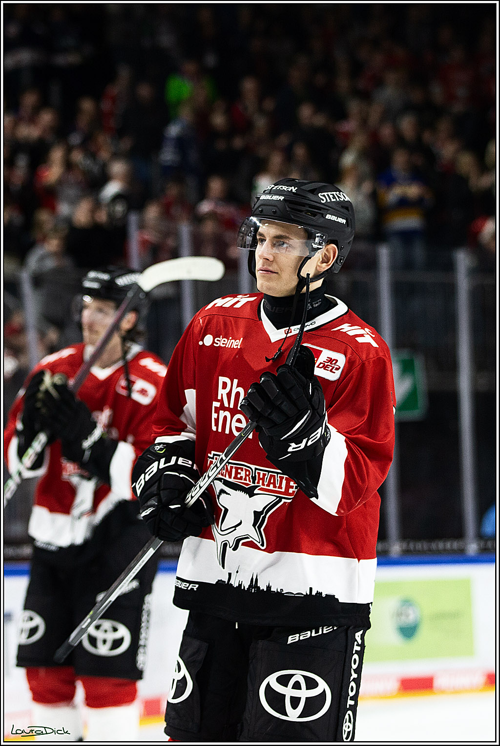 PENNY DEL; Koelner Haie- Loewen Frankfurt; Koeln, 26.12.2023
