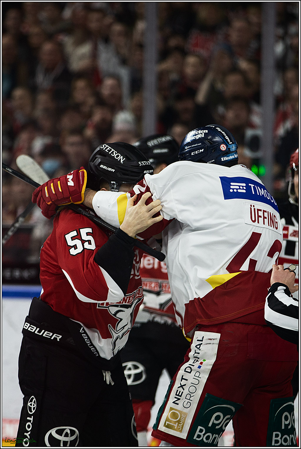 PENNY DEL; Koelner Haie- Duesseldorfer EG; Koeln, 28.12.2023