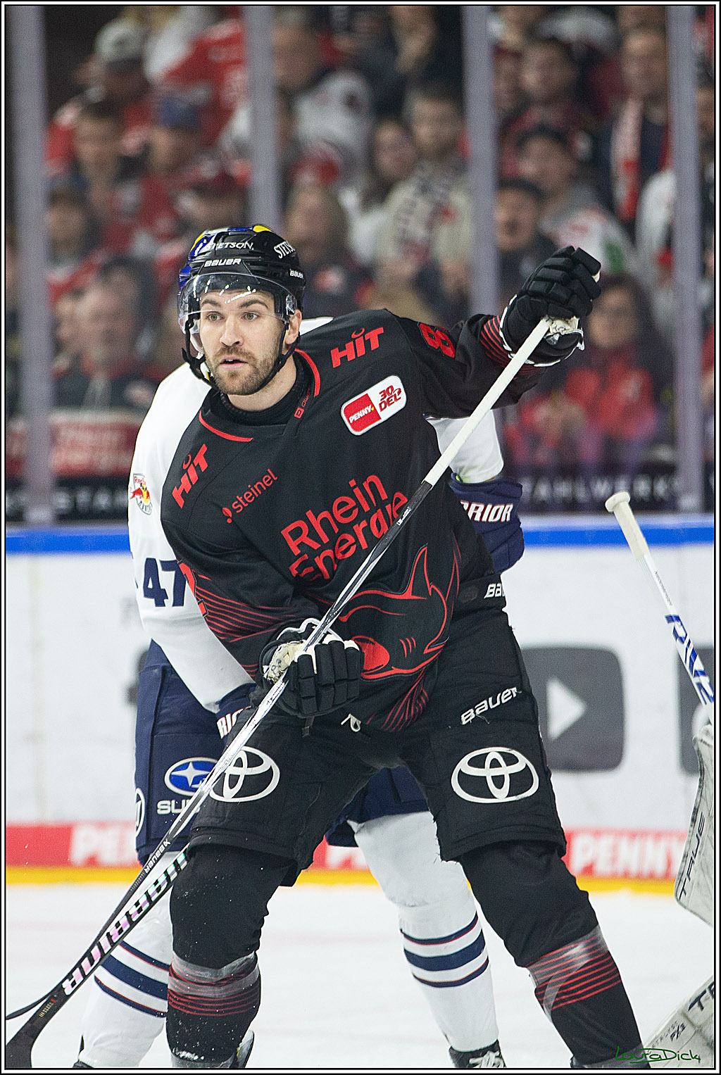 PENNY DEL; Koelner Haie- RedBull Muenchen; Koeln, 05.01.2024