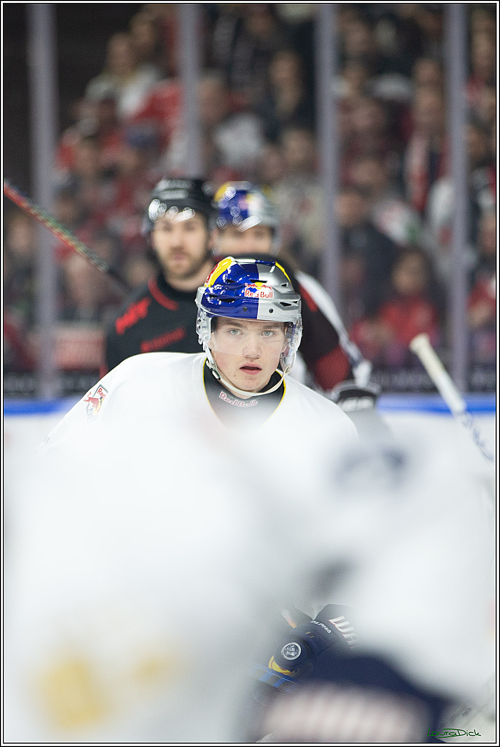 PENNY DEL; Koelner Haie- RedBull Muenchen; Koeln, 05.01.2024