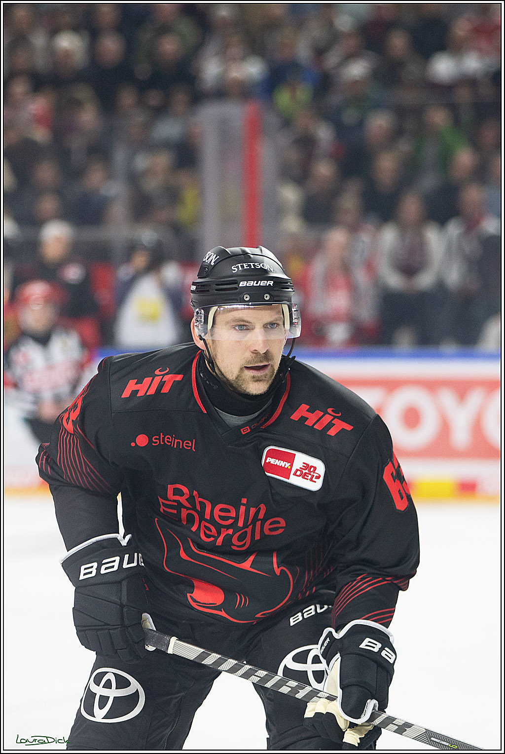 PENNY DEL; Koelner Haie- RedBull Muenchen; Koeln, 05.01.2024