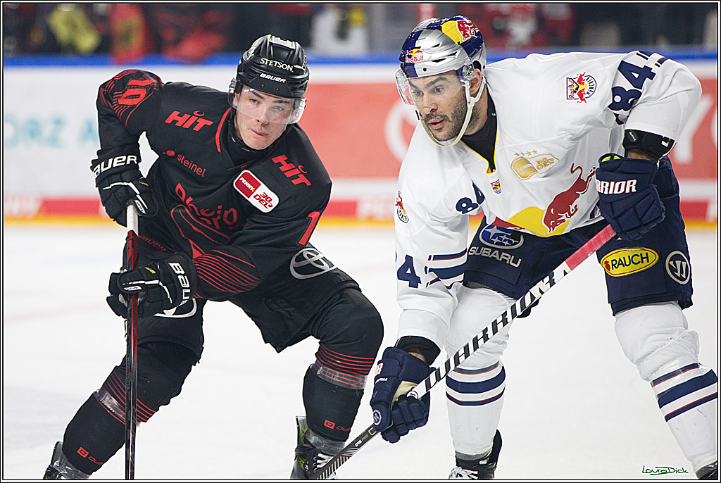 PENNY DEL; Koelner Haie- RedBull Muenchen; Koeln, 05.01.2024