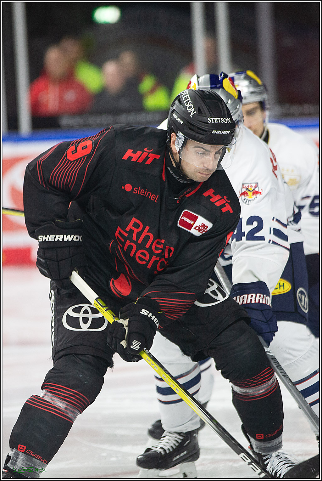 PENNY DEL; Koelner Haie- RedBull Muenchen; Koeln, 05.01.2024