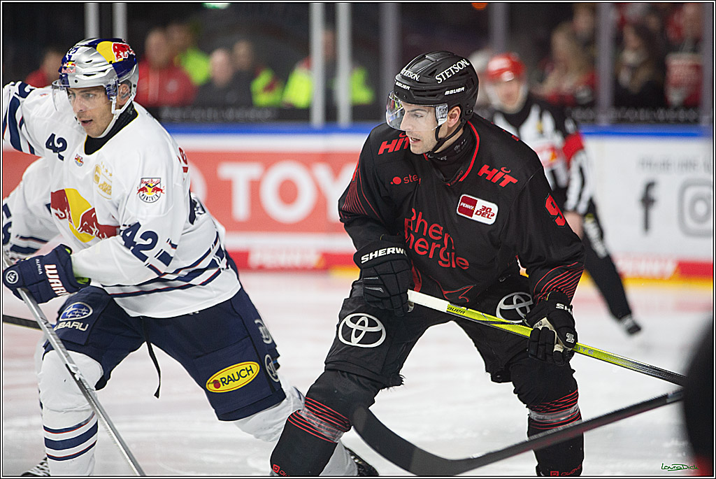 PENNY DEL; Koelner Haie- RedBull Muenchen; Koeln, 05.01.2024