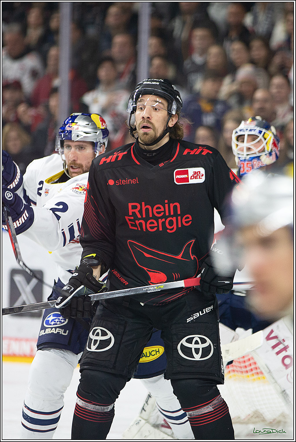 PENNY DEL; Koelner Haie- RedBull Muenchen; Koeln, 05.01.2024