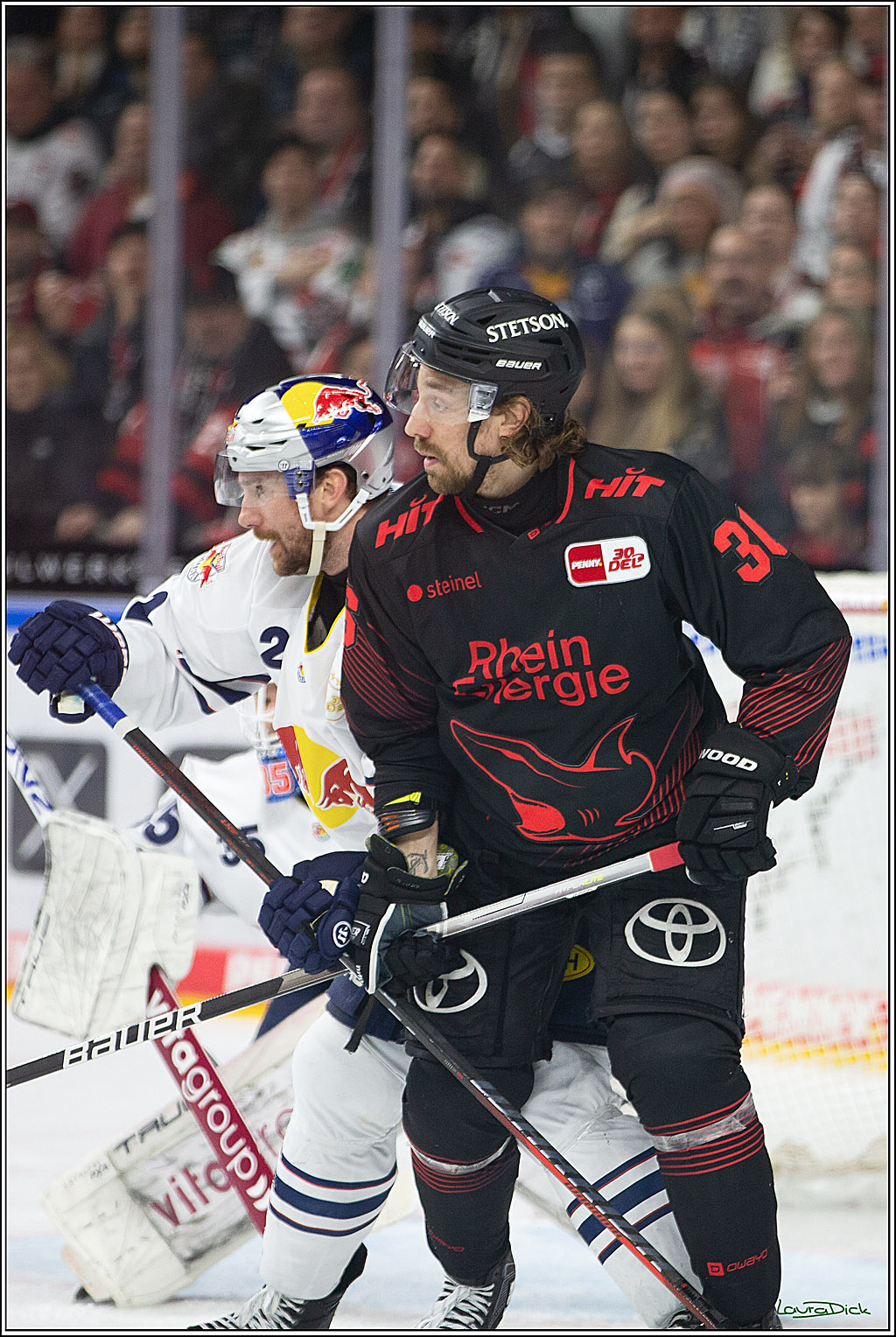 PENNY DEL; Koelner Haie- RedBull Muenchen; Koeln, 05.01.2024